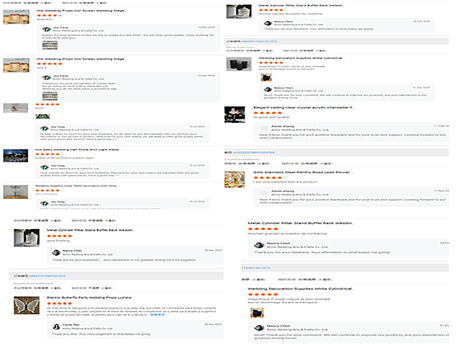 What Our Clients Are Saying in Europe & North America