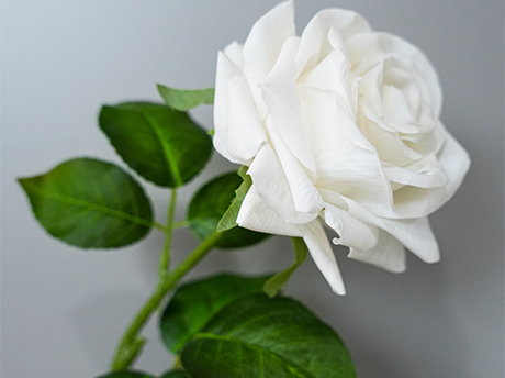 Real-Touch Hydrating Artificial Flowers – Soft and realistic to the touch. 手感保湿花人造花特写,花瓣柔软逼真如鲜花质感