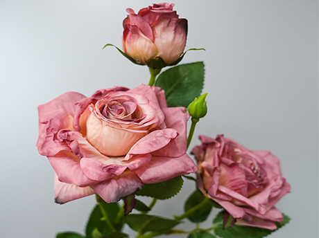 What Do Couples Really Expect From Their Wedding Vendors in 2026?